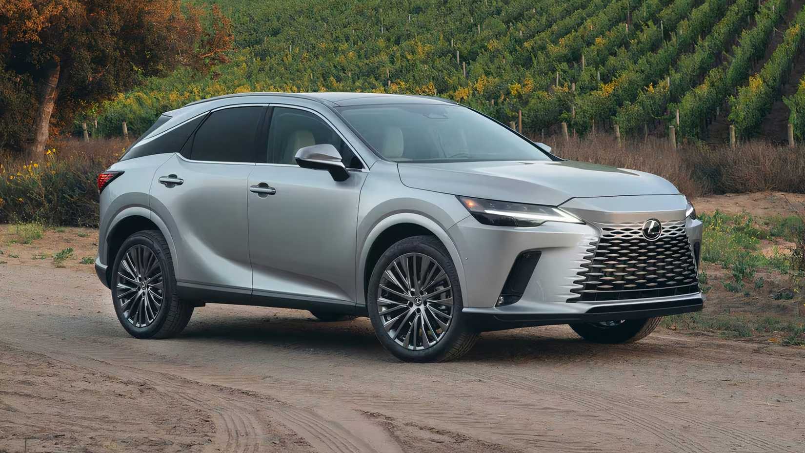 2025 Lexus RX 350h Luxury in silver parked in vineyard