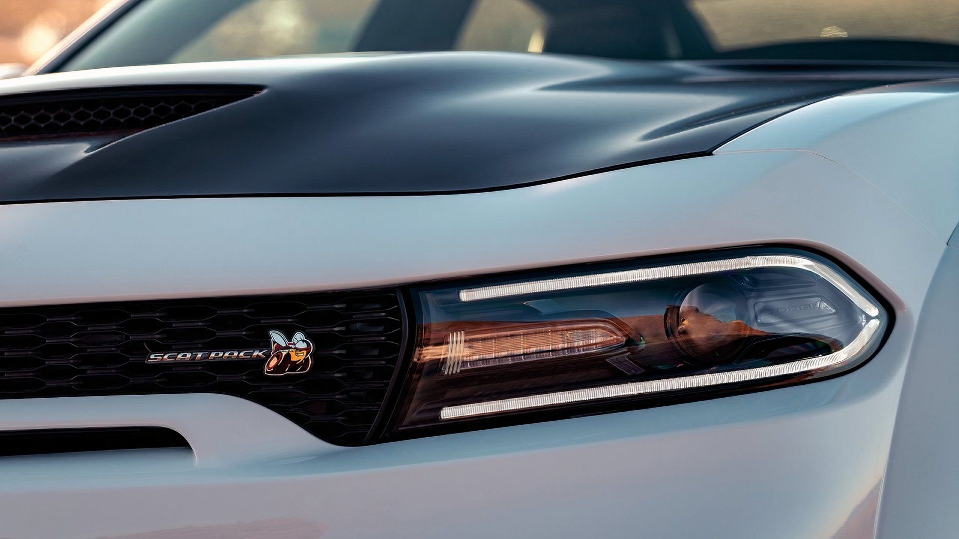 2020 Dodge Charger R/T Scat Pack Widebody, closeup of front light