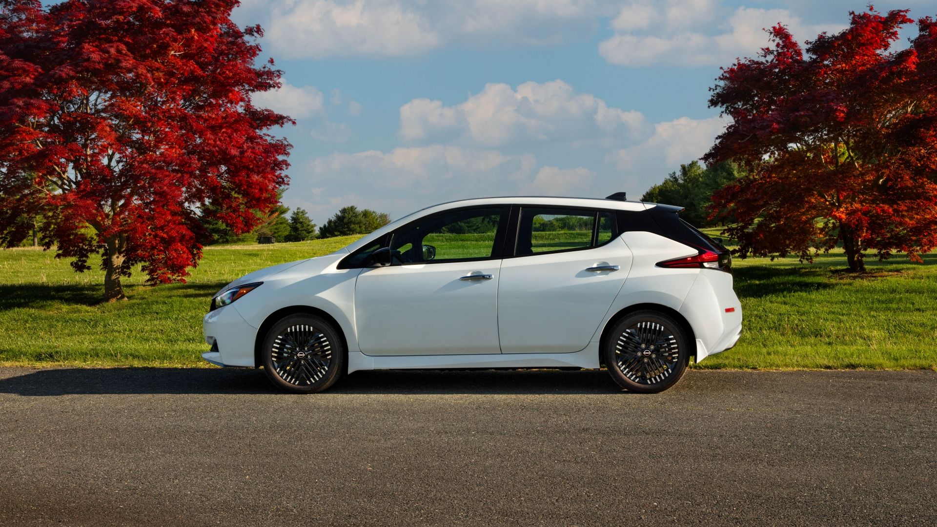 Nissan Leaf | TopSpeed