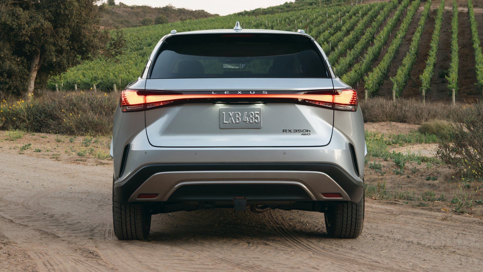 The Lexus SUV That Outsold Its Entire Hybrid Lineup In Q1 2025