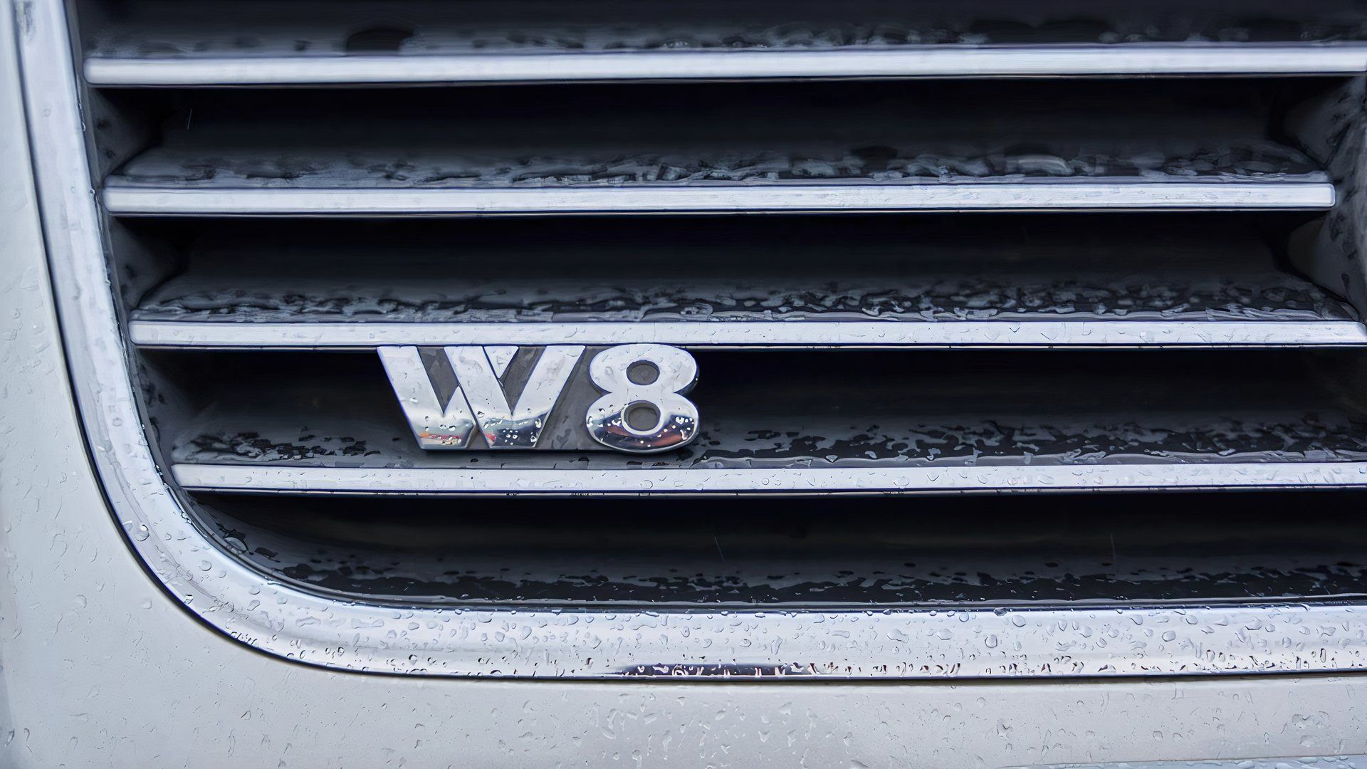 2004 volkswagen passat W8 close-up logo