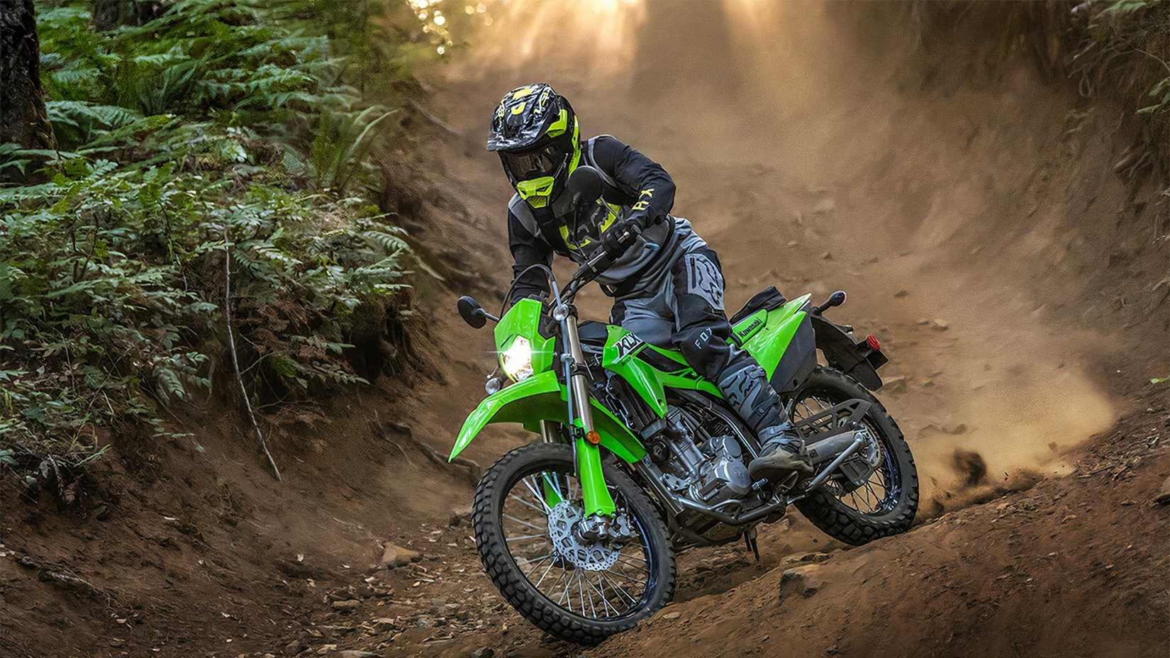 2024 Kawasaki KLX300