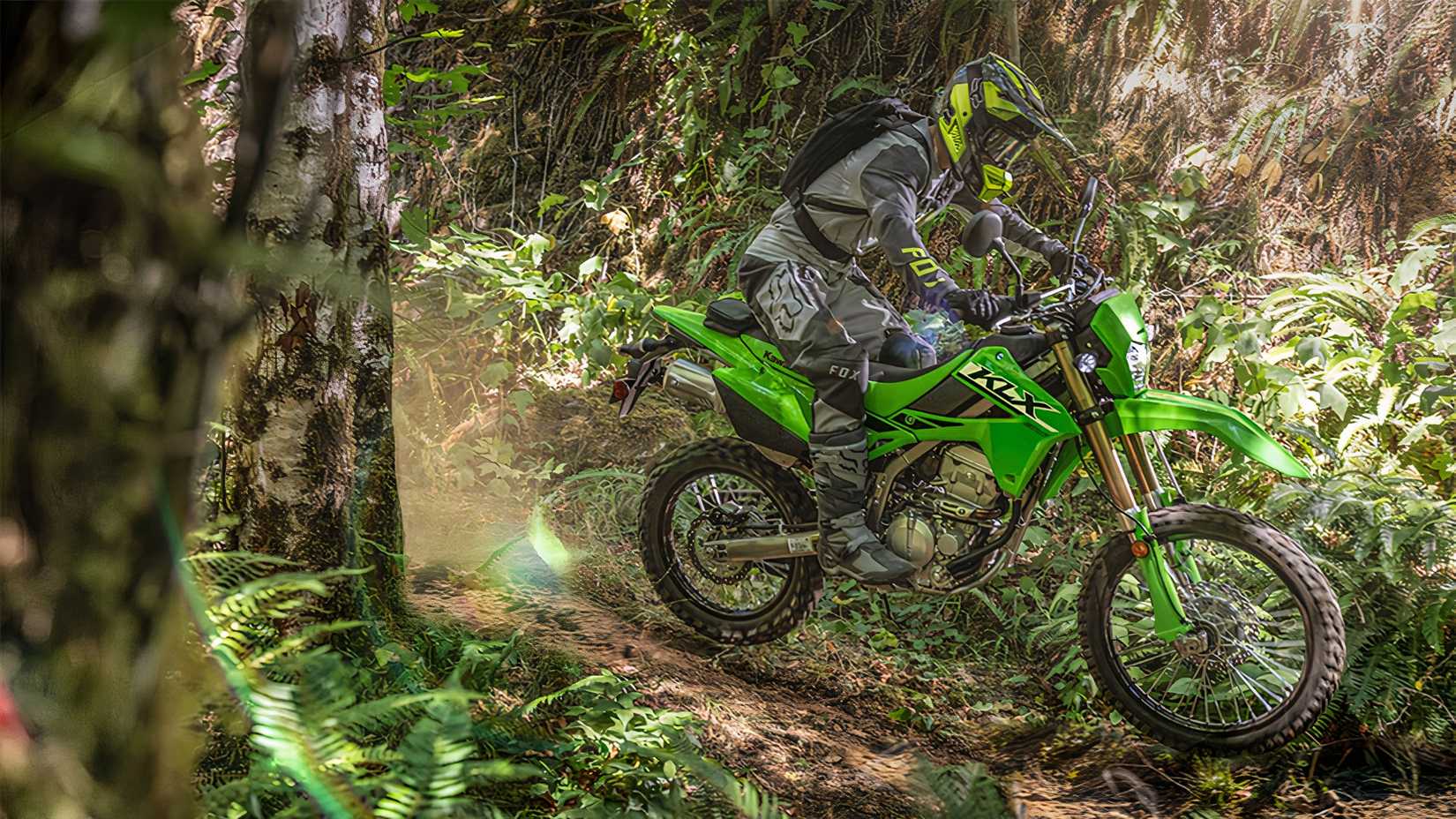 2024 Kawasaki KLX300