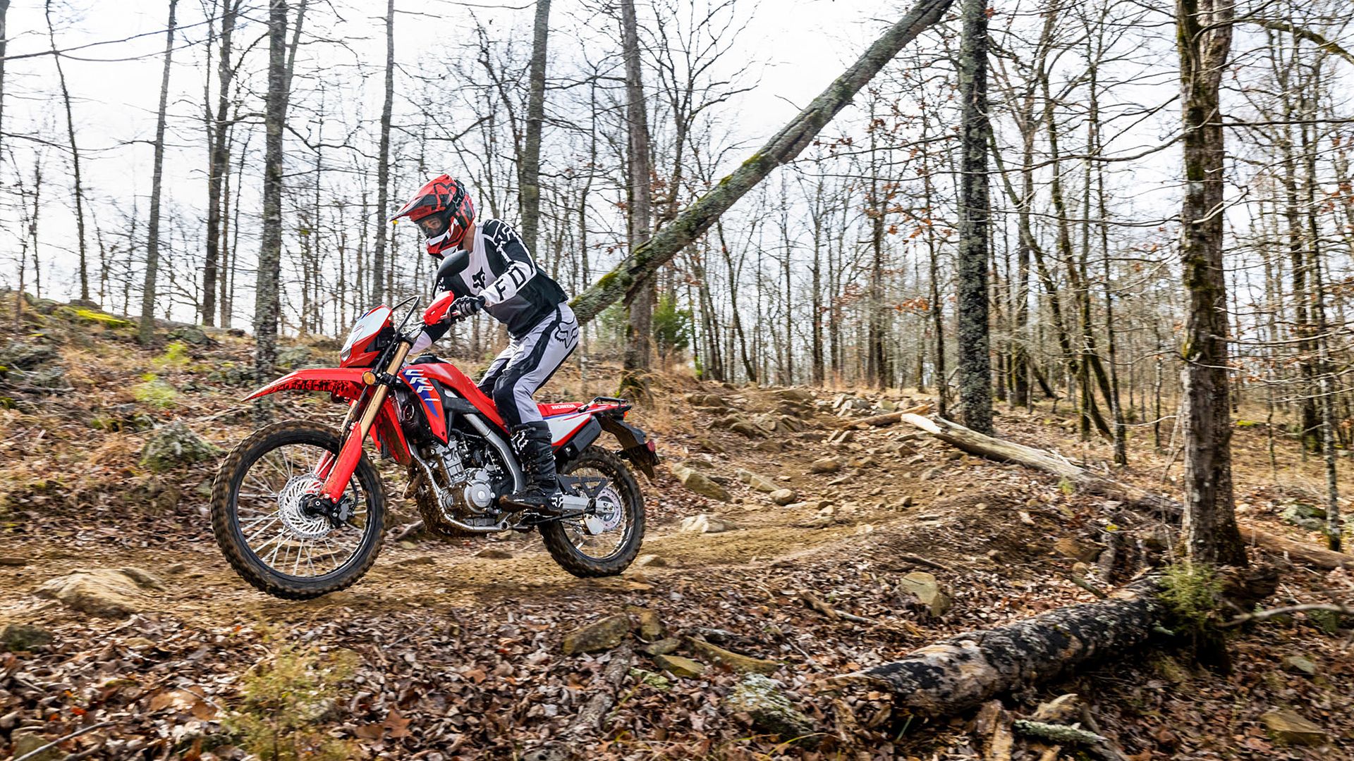 Uma foto de ação do off-road Honda CRF300L 2025