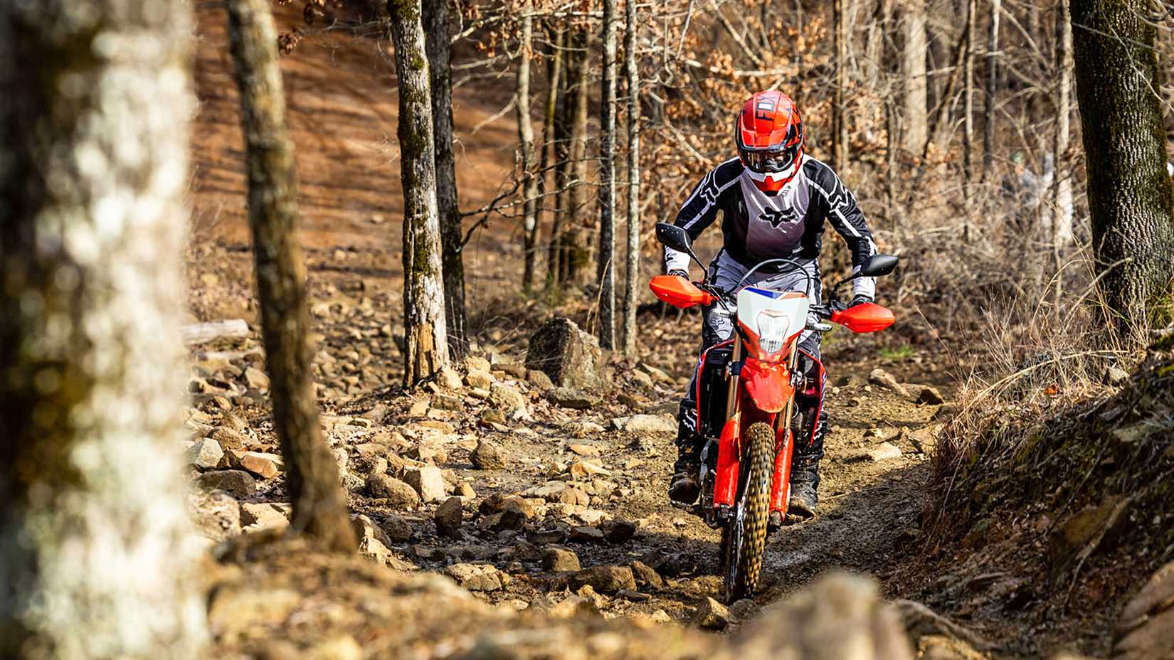 2025 Honda CRF300L