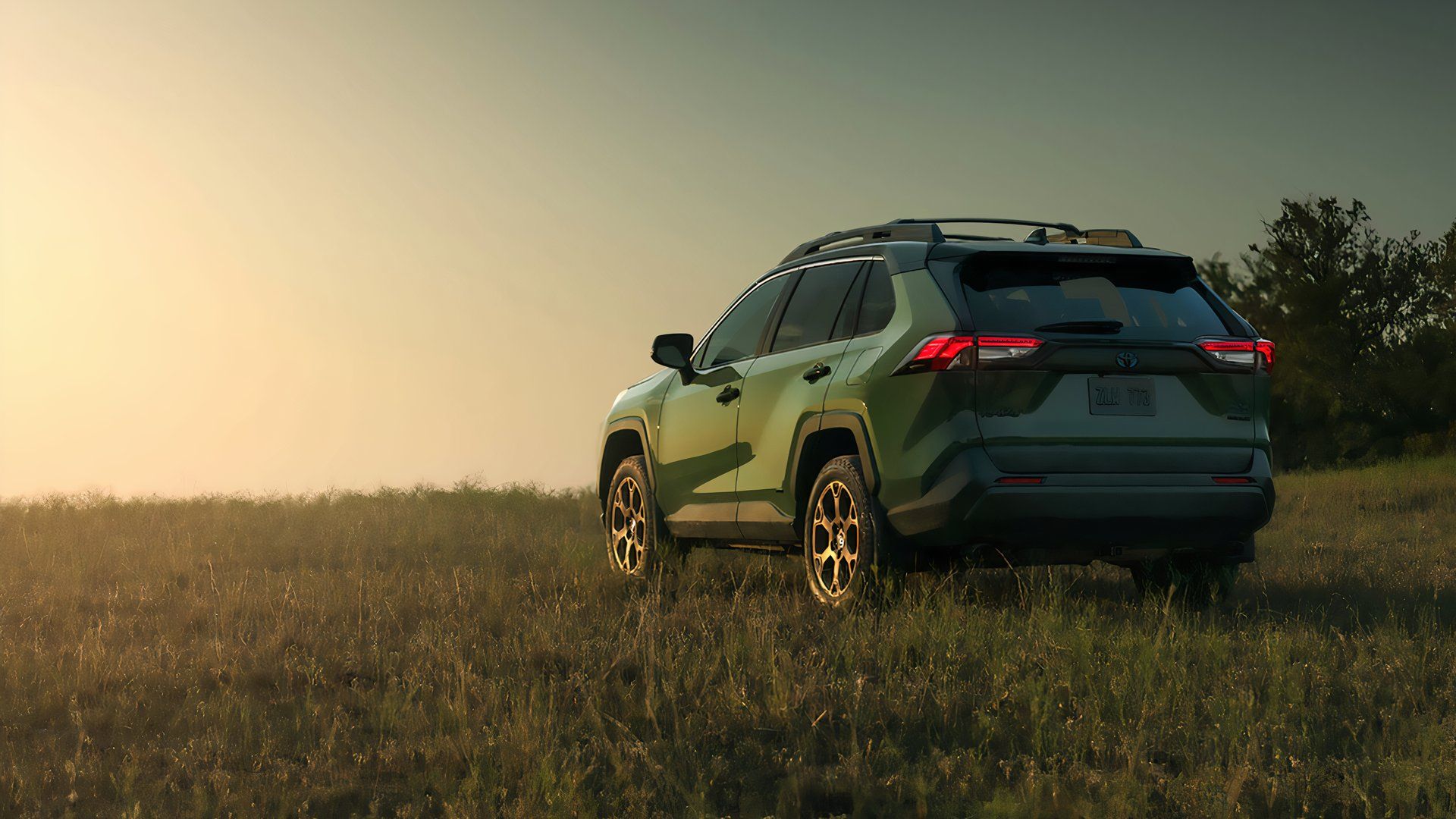 A 2025 Toyota RAV4 Hybrid Woodland Edition