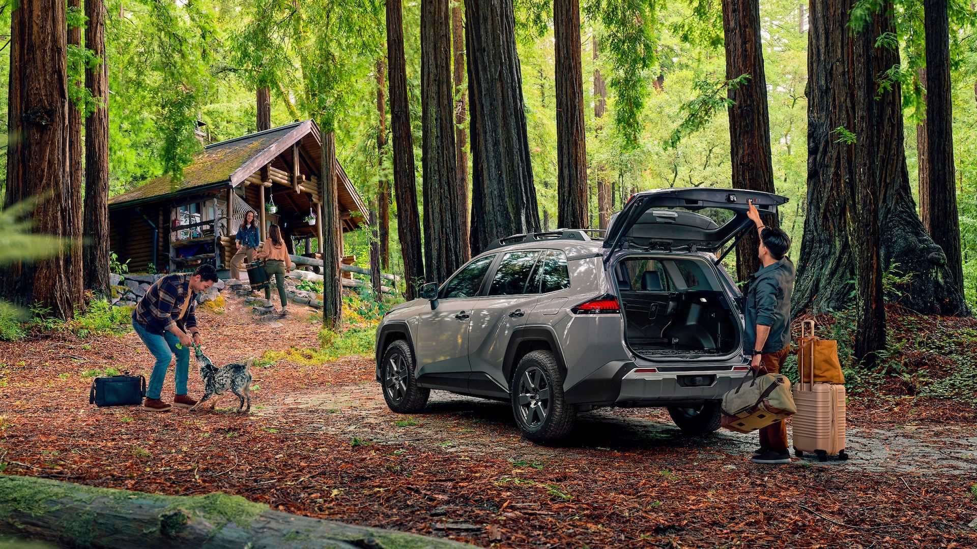 2026 Toyota RAV4 Woodland escotilha