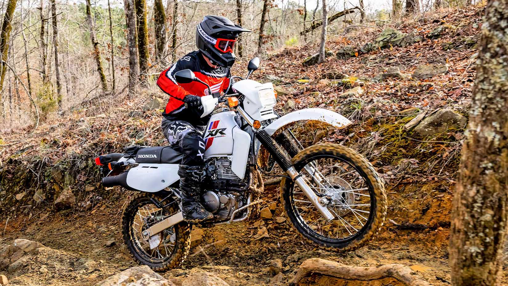 Piloto em uma Honda XR650L 2025