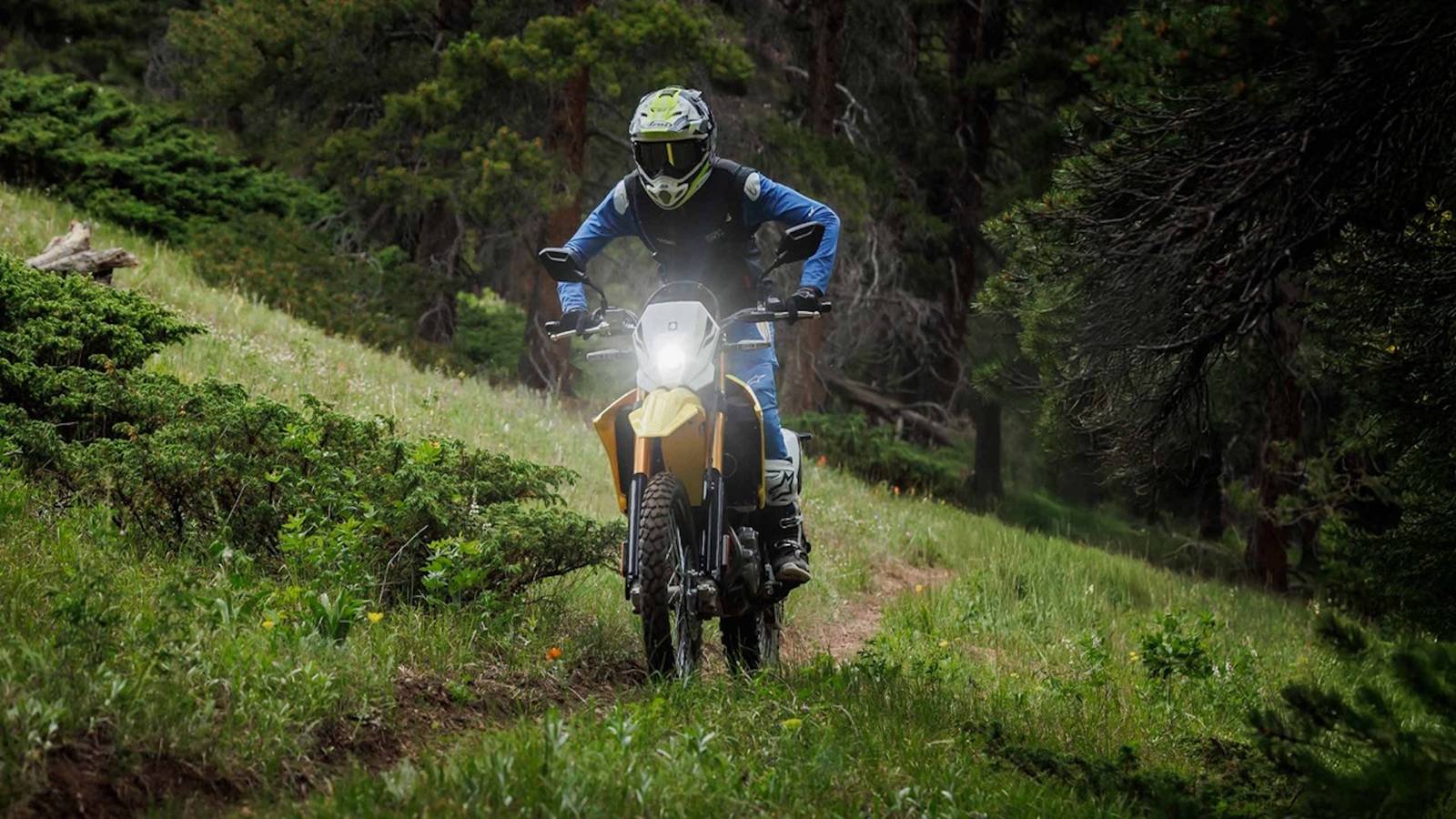 Una motocicletta dual-sport con sospensione off-road e caratteristiche moderne, che mostra la presenza di Suzuki nel mercato