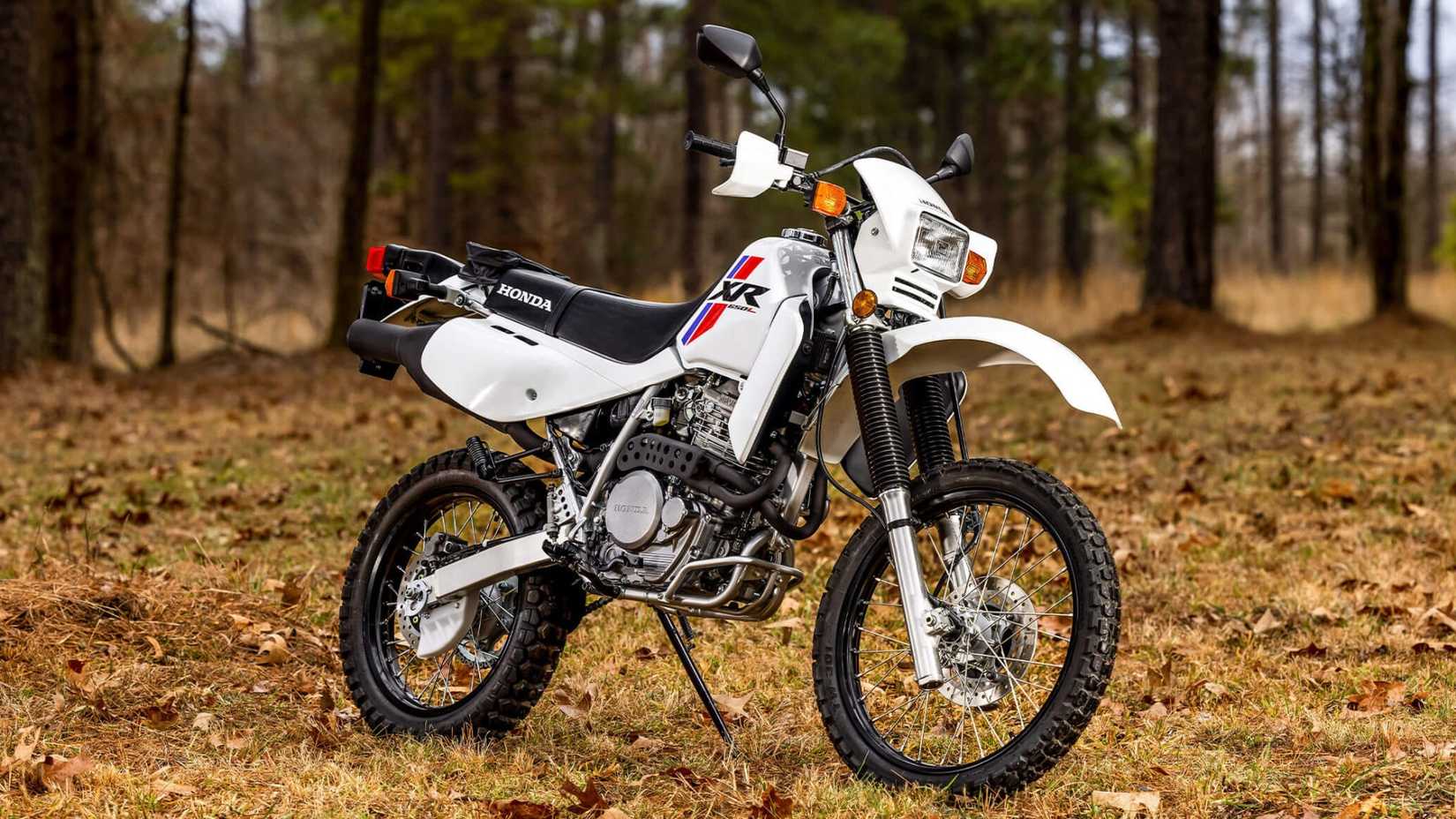 2025 Honda XR650L design front third quarter view