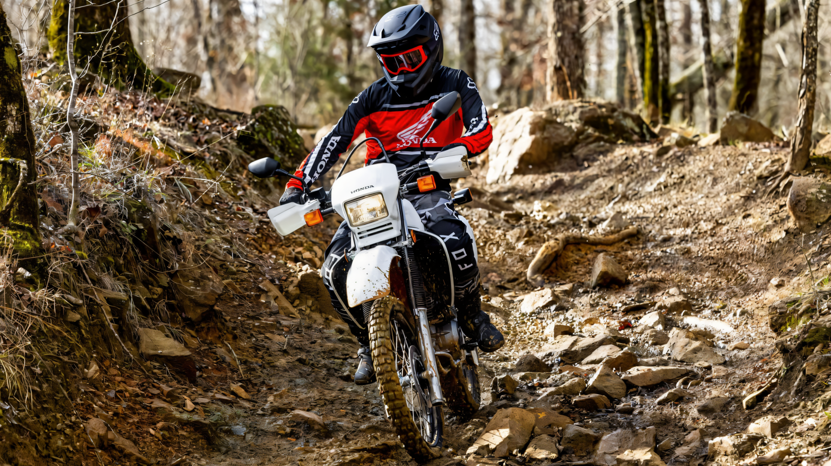 Best bang-for-buck Honda dual-sport motorcycle off-roading front fascia view