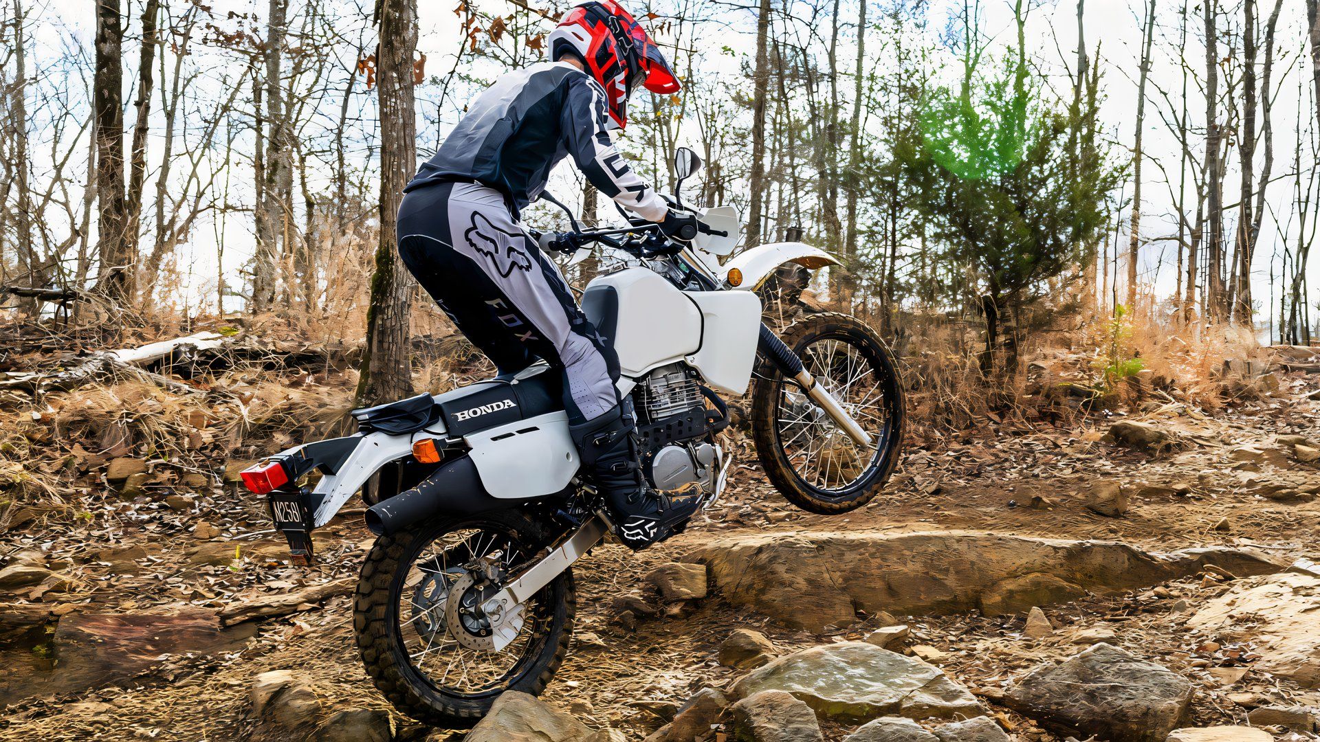 How The Sleeper Honda XR650L Offers The Best Bang For Your Buck