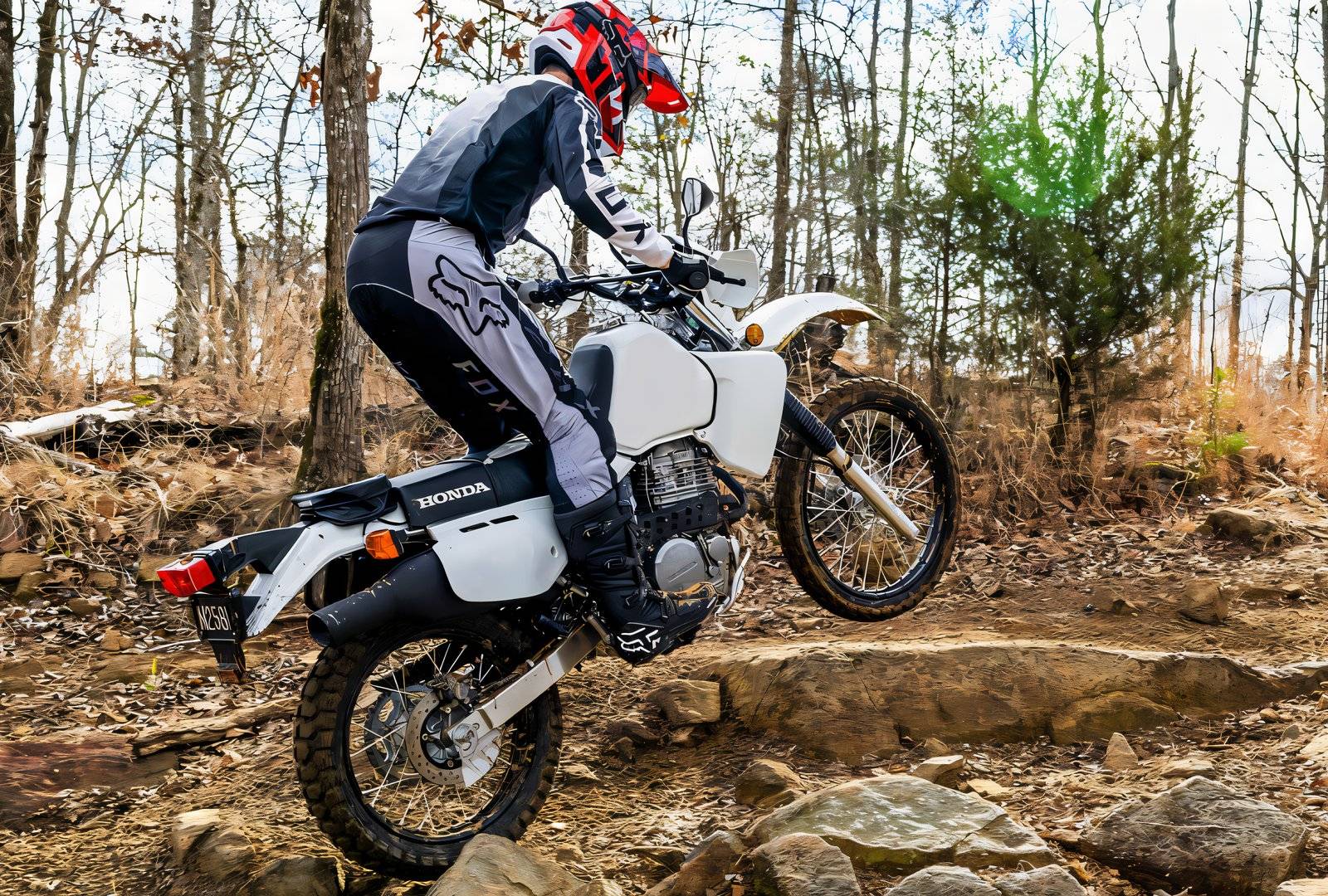 How The Sleeper Honda XR650L Offers The Best Bang For Your Buck