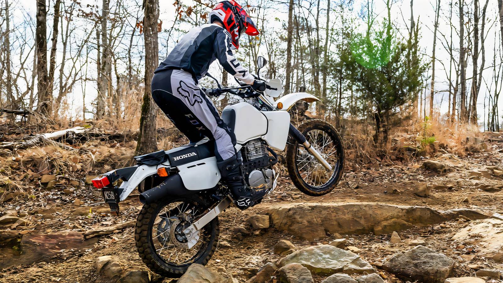 The Honda Motorcycle That Quietly Dominates Long-Term Ownership