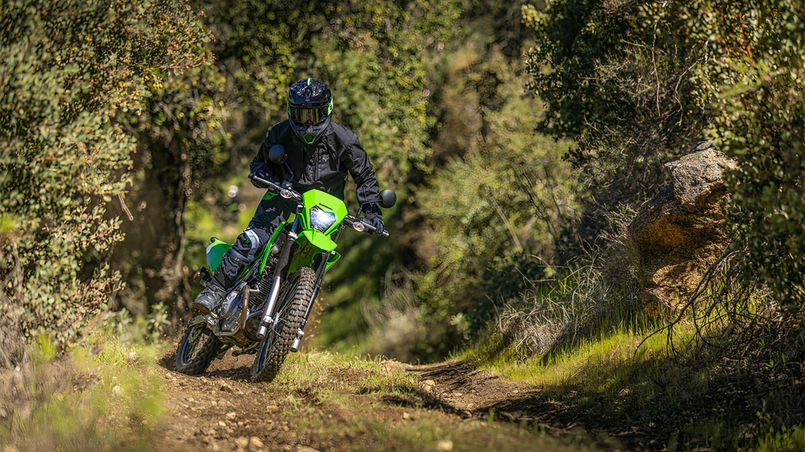 Kawasaki KLX230 
