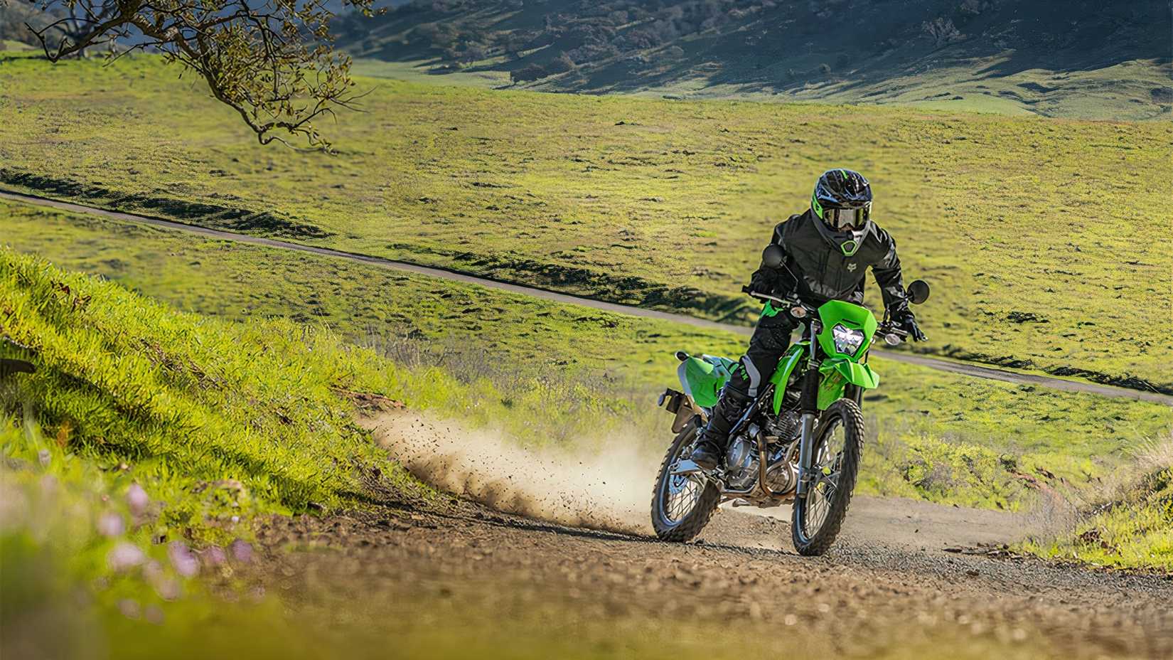 Kawasaki KLX230 