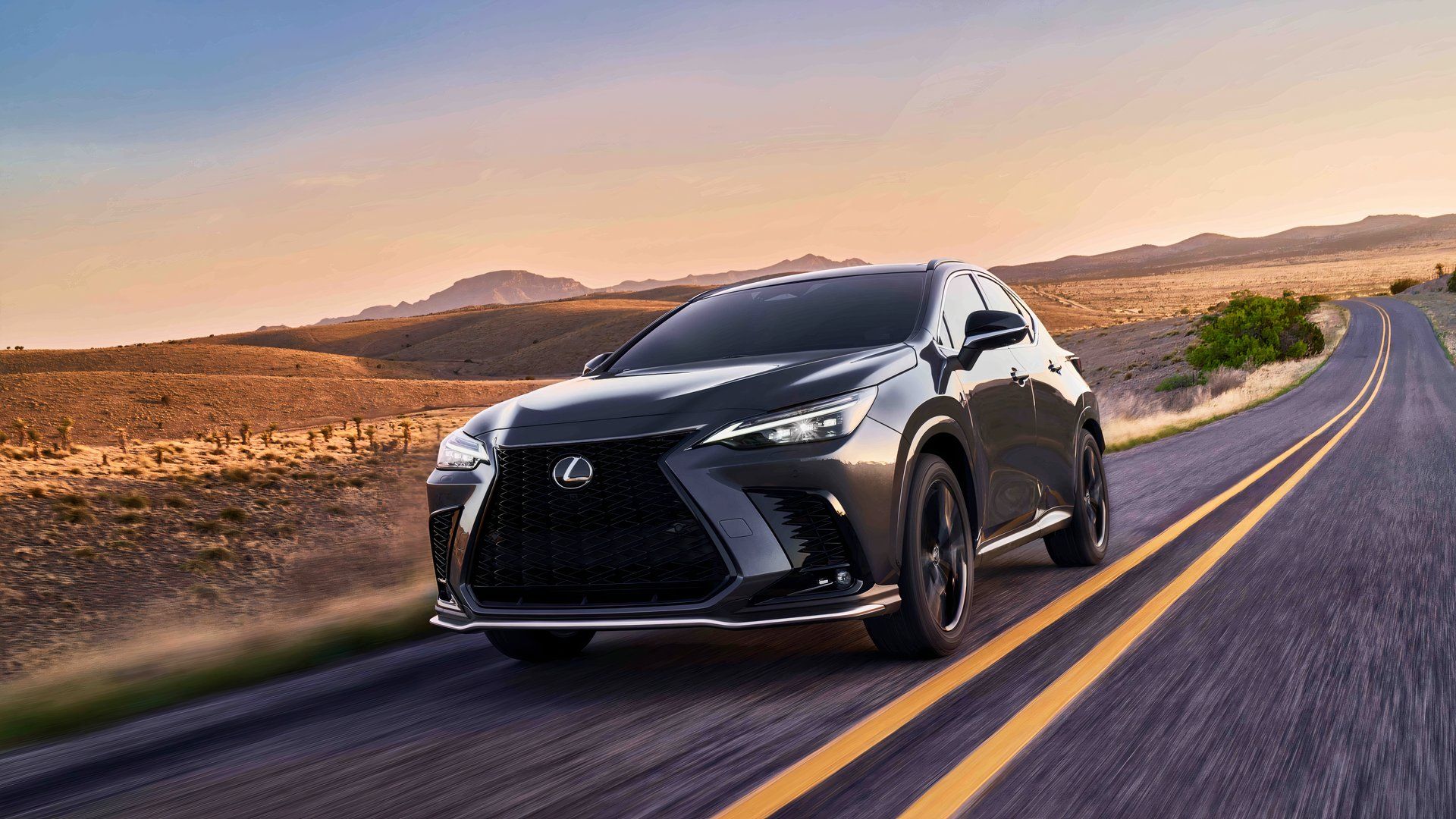 2026 Lexus NX Driving
