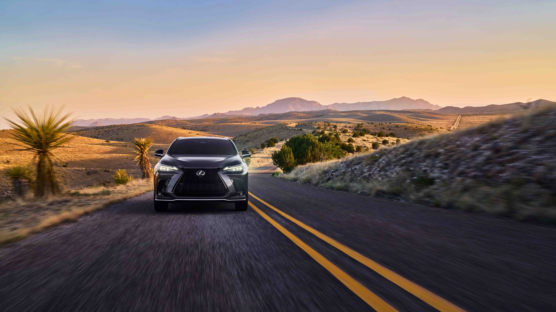 2026 Lexus NX-06