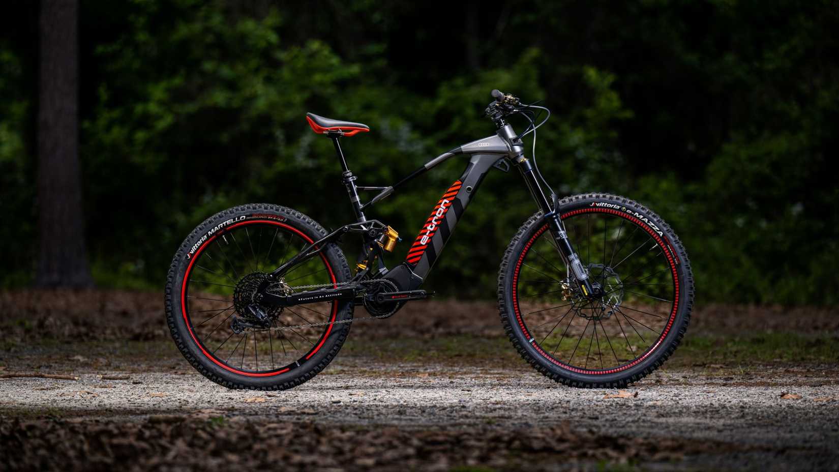 Audi eMTB