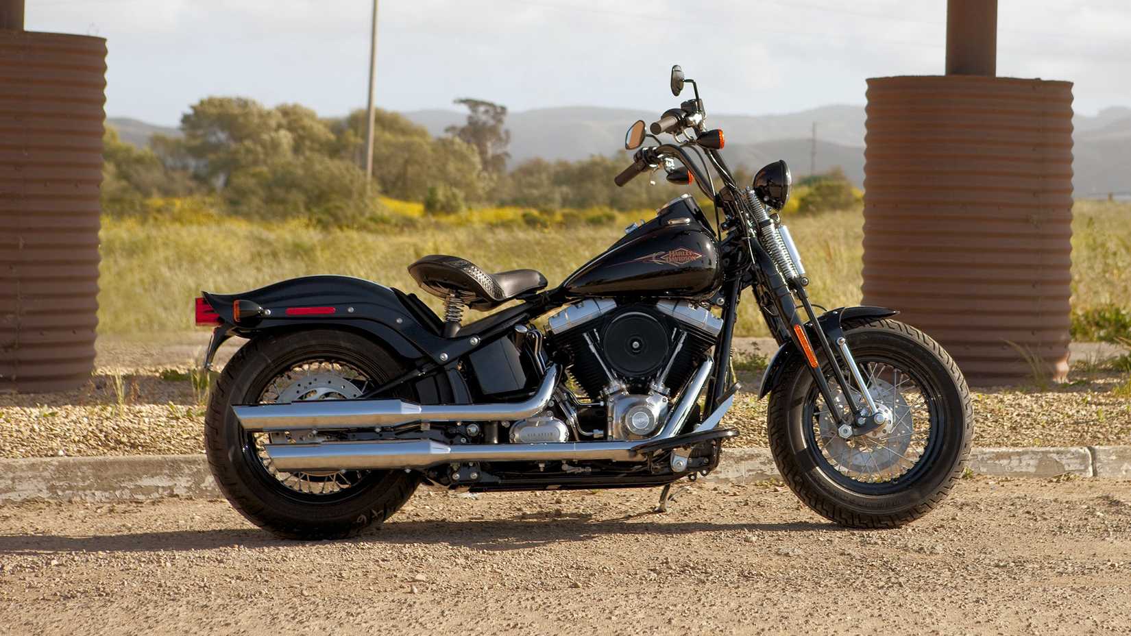 2011 Harley-Davidson Cross Bones static profile shot-1