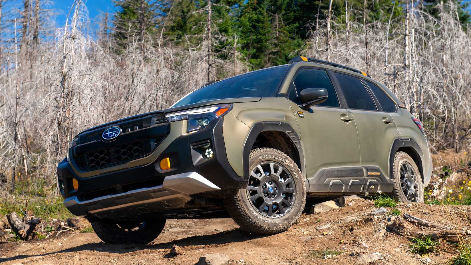 2026 Subaru Forester Wilderness amee reehal-06-1