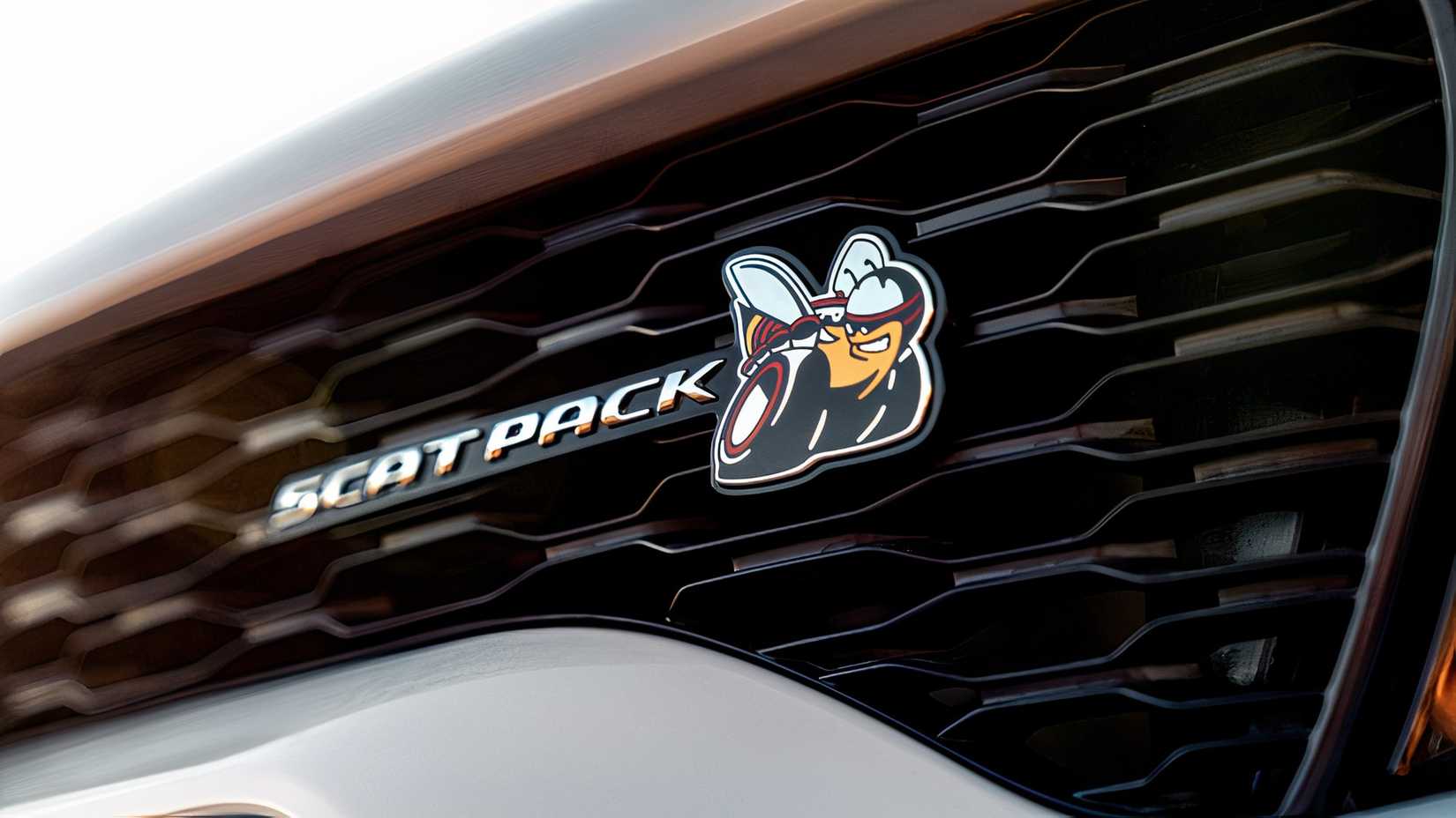 Grille of 2020 Dodge Charger Scat Pack