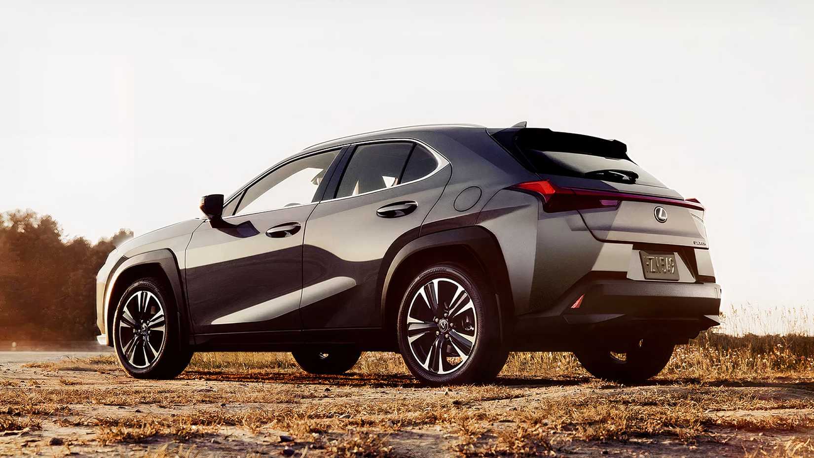 2025 Lexus UX, rear 3.4