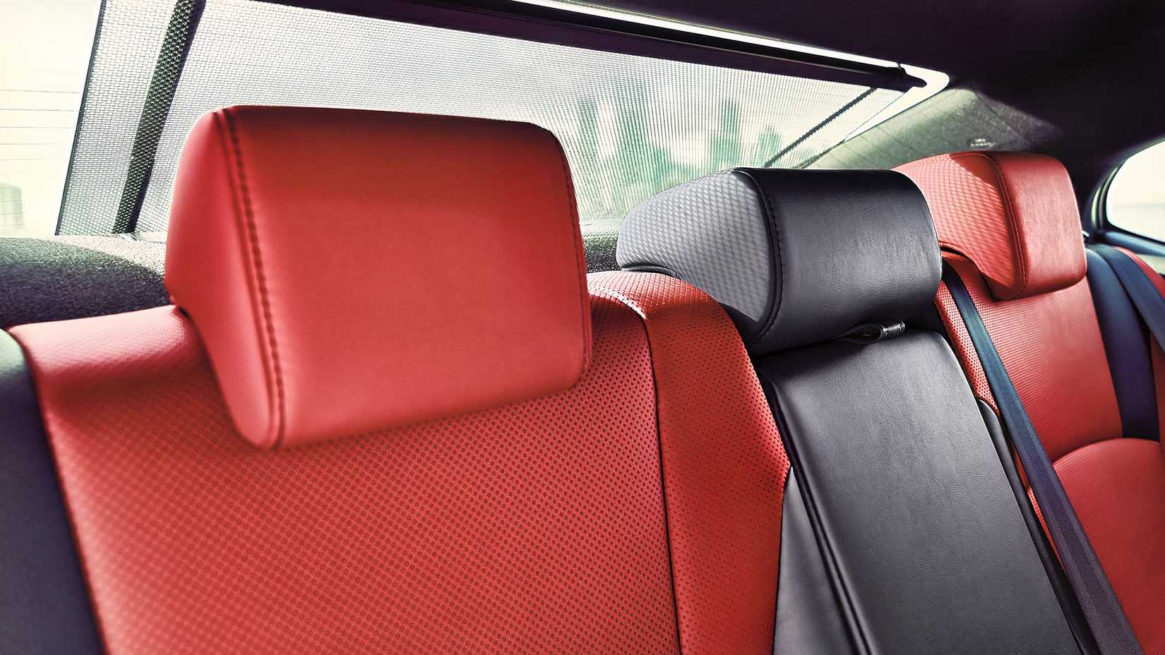2025 Lexus 300h rear seat