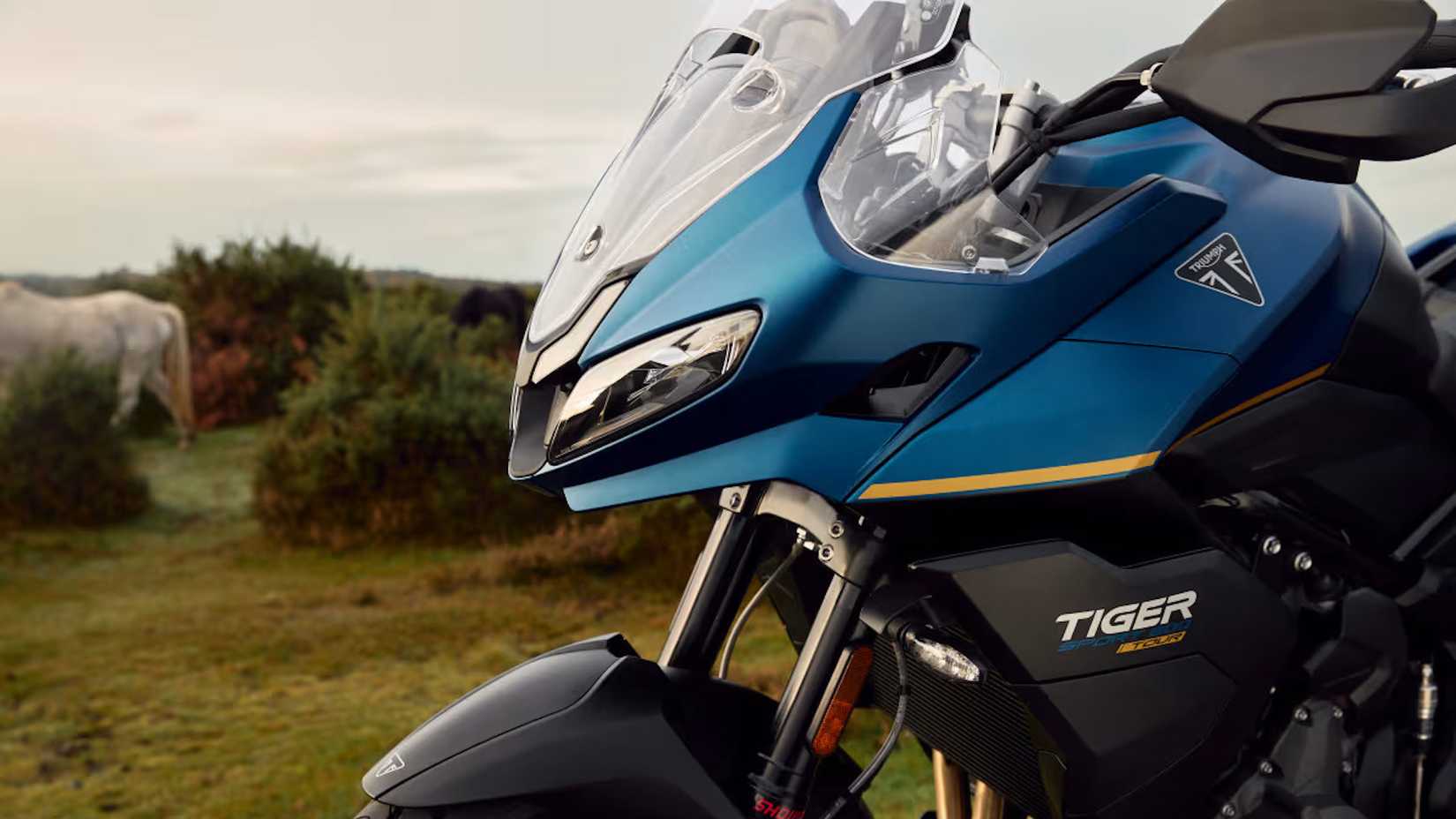 Foto cinematográfica do perfil lateral do painel frontal da Triumph Tiger Sport 800 Tour