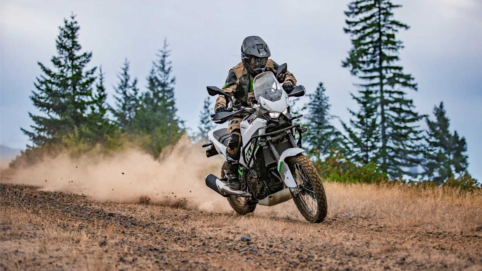 Kawasaki KLE500 SE ABS_3