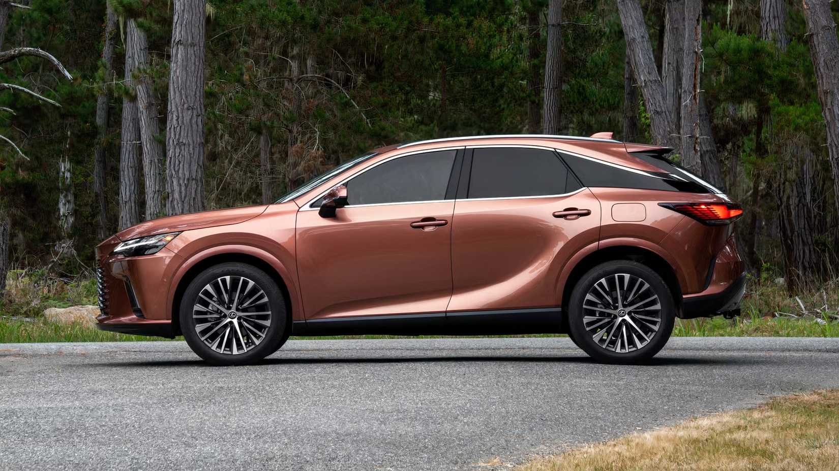 2026 Lexus RX Side