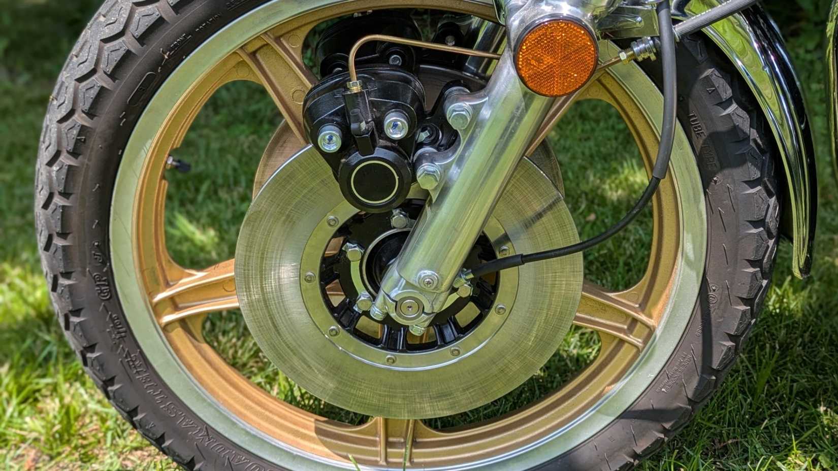 PXL_20250723_154918200.PORTRAIT-68641 em escala