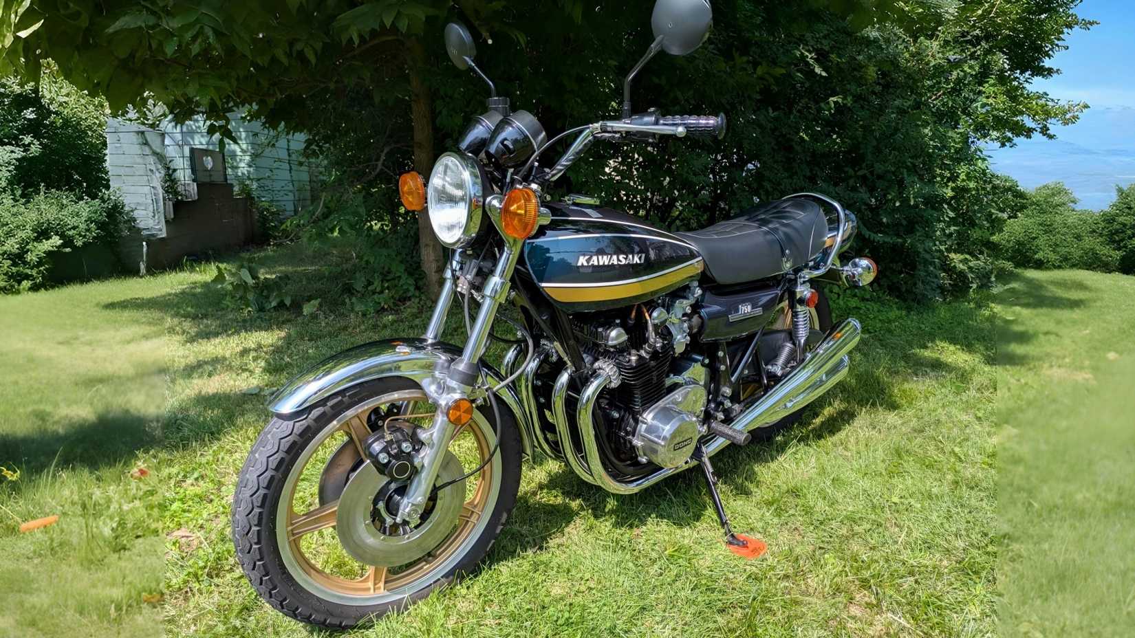 PXL_20250723_155059266-68700 em escala