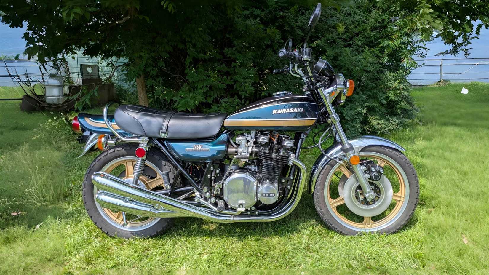 PXL_20250723_160011525-68794 em escala