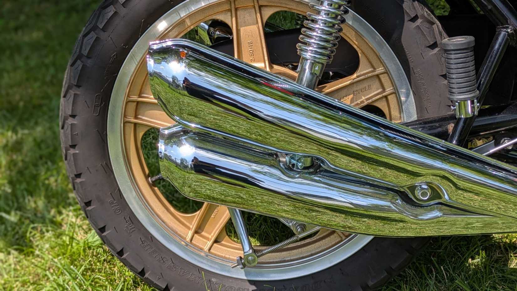 PXL_20250723_160114215.PORTRAIT-68945 em escala