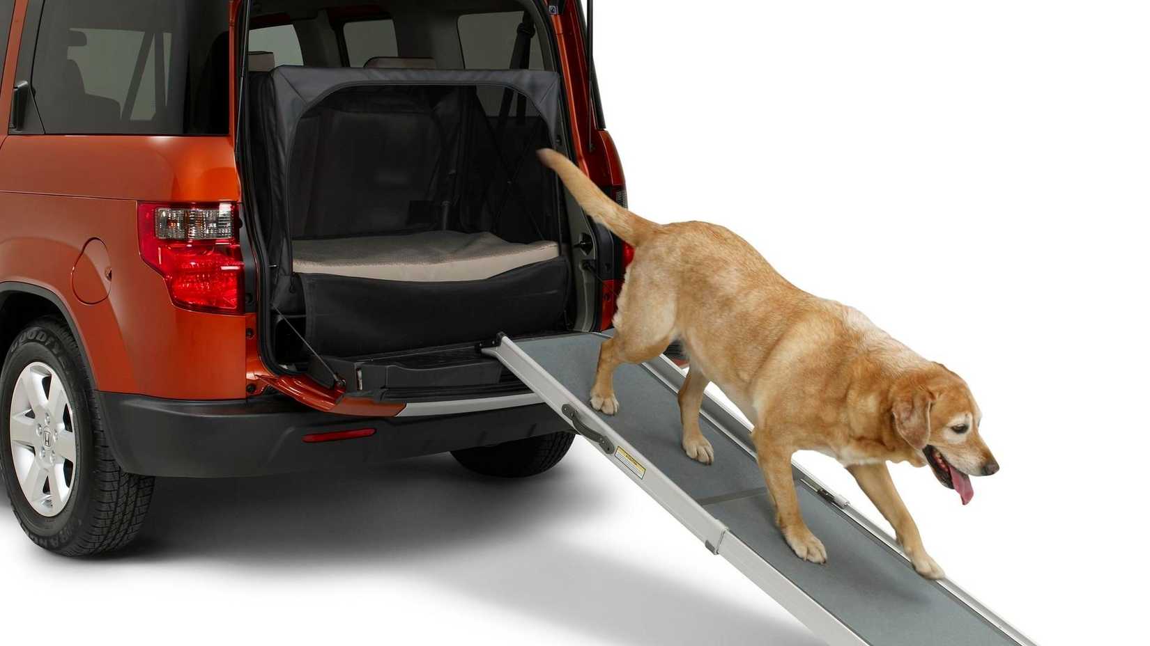 2010 Honda Element Dog Friendly(2)-1