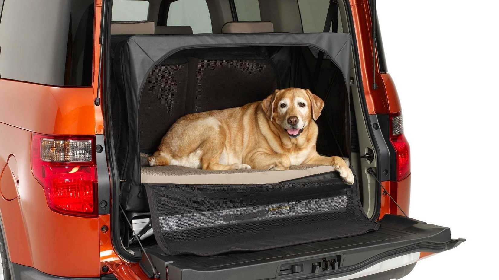 2010 Honda Element Dog Friendly(3)-1