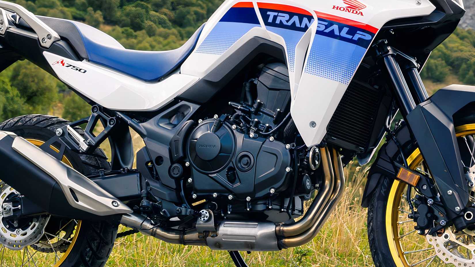 Honda XL750 Transalp close-up do motor