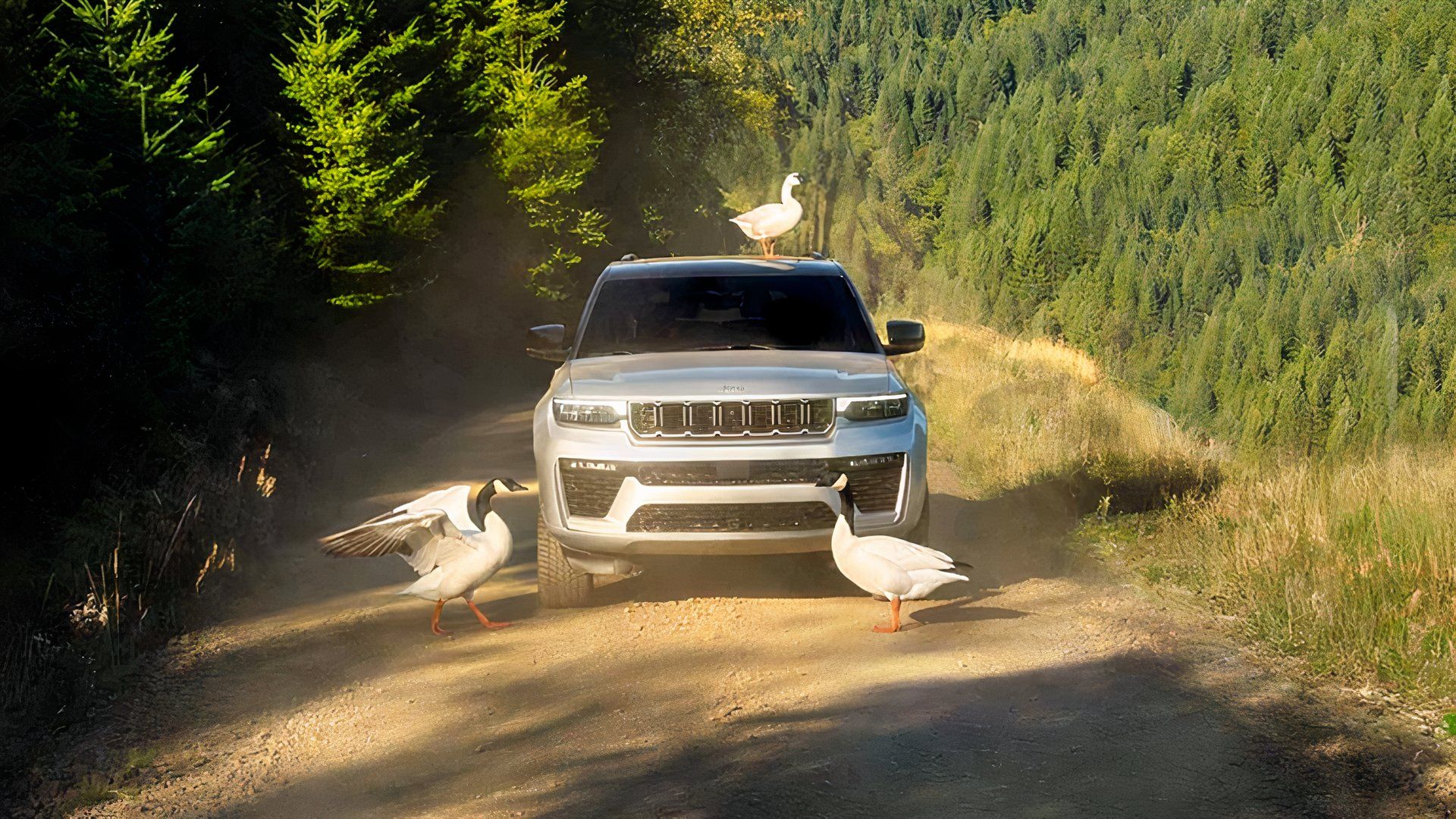 Jeep Grand Cherokee L em uma trilha com grandes cisnes