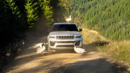Jeep Grand Cherokee L em uma trilha com grandes cisnes