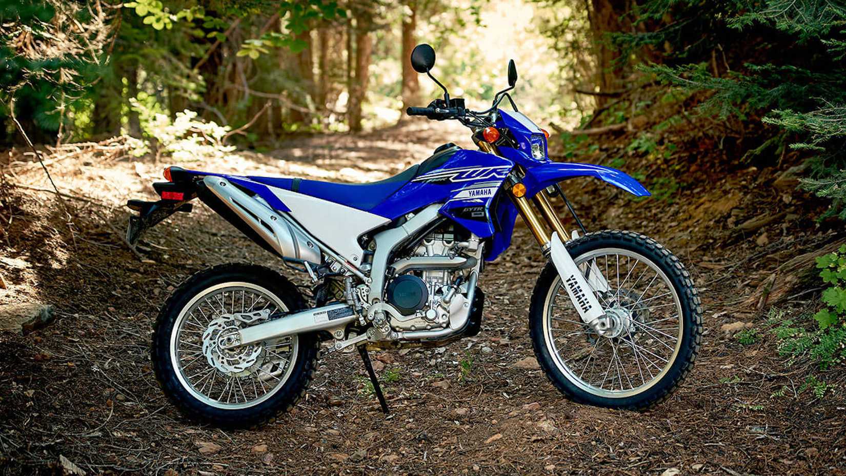 2020 WR250R estático