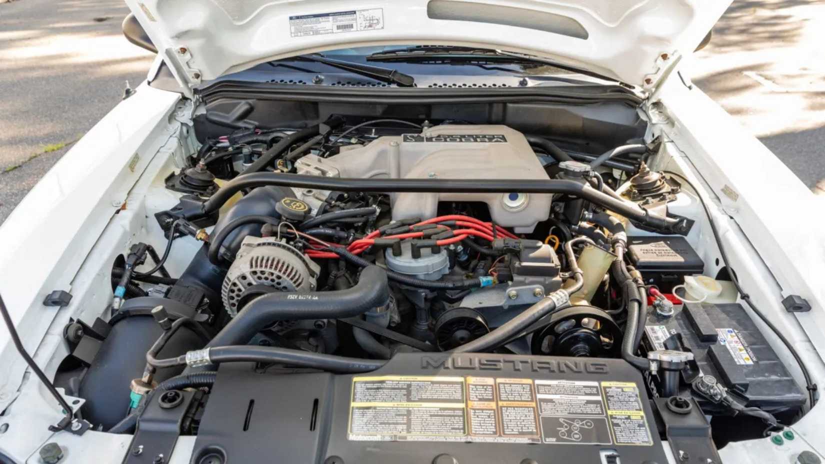 Close-up shot of the 1995 Ford Mustang SVT Cobra R engine bay