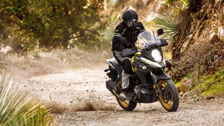 2017 - 2020 Suzuki V-Strom 650 off-road em uma trilha na floresta