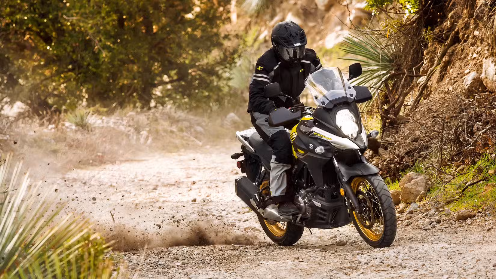 2017 - 2020 Suzuki V-Strom 650 foto de ação off-road