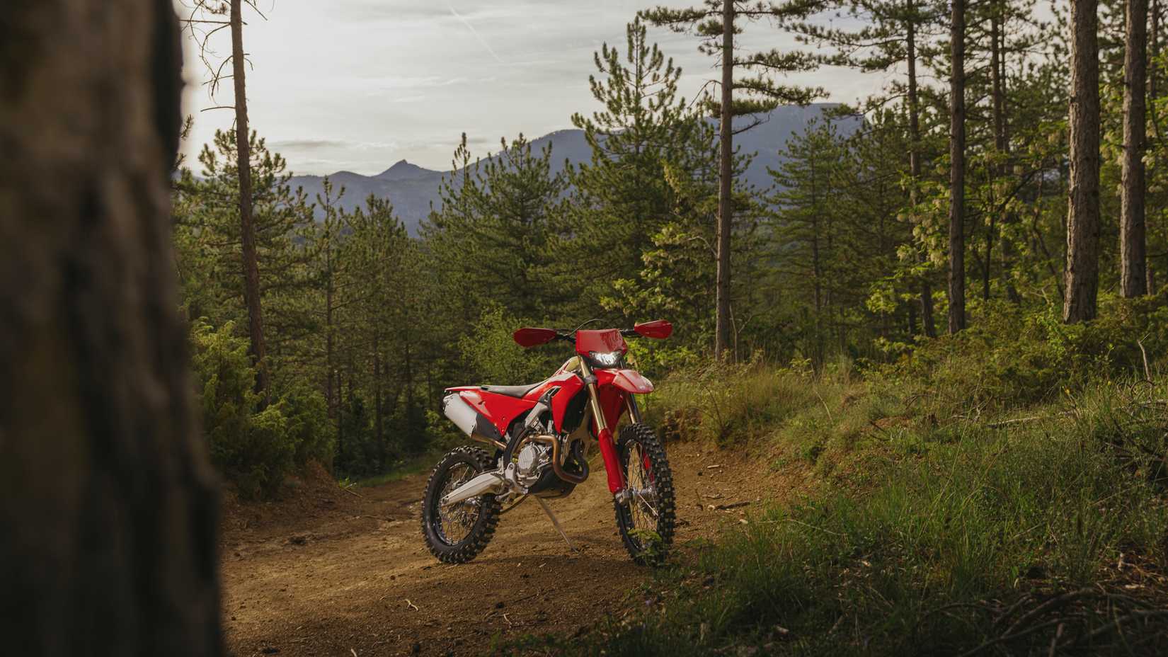 2027 Ducati Desmo450 EDS estacionada em uma trilha