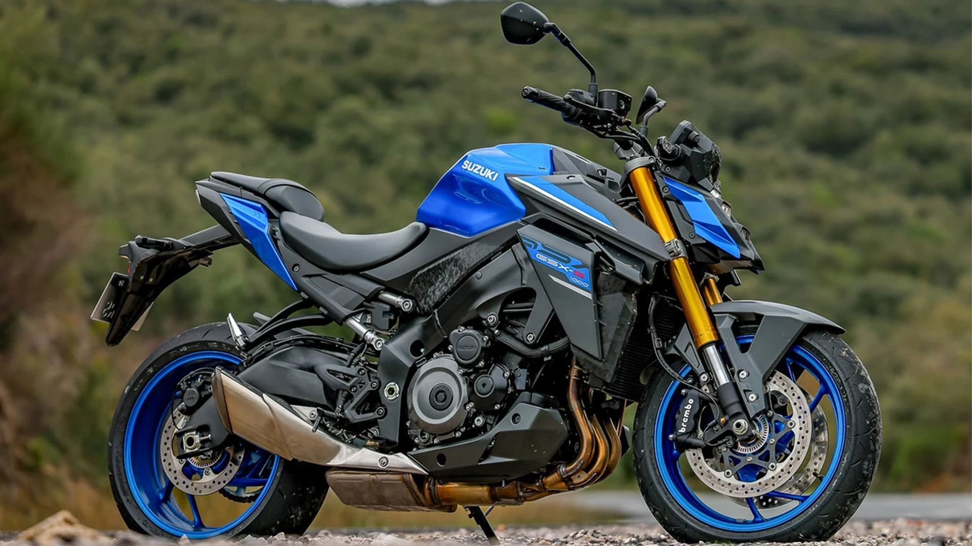 Static outdoor shot of a Suzuki GSX-S1000 parked on the side of the road