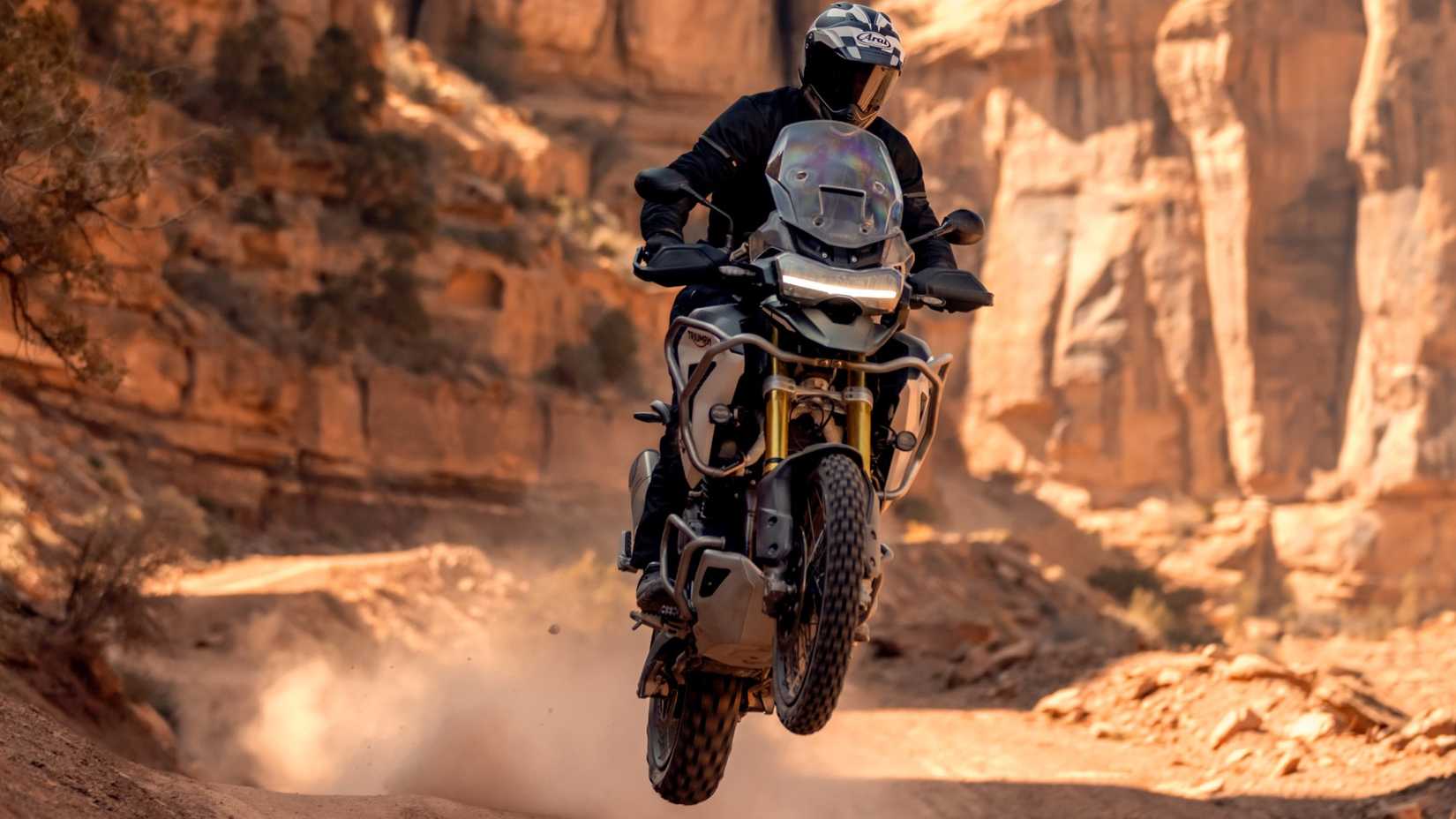 2026 Triumph Tiger 1200 Rally Pro action shot front view