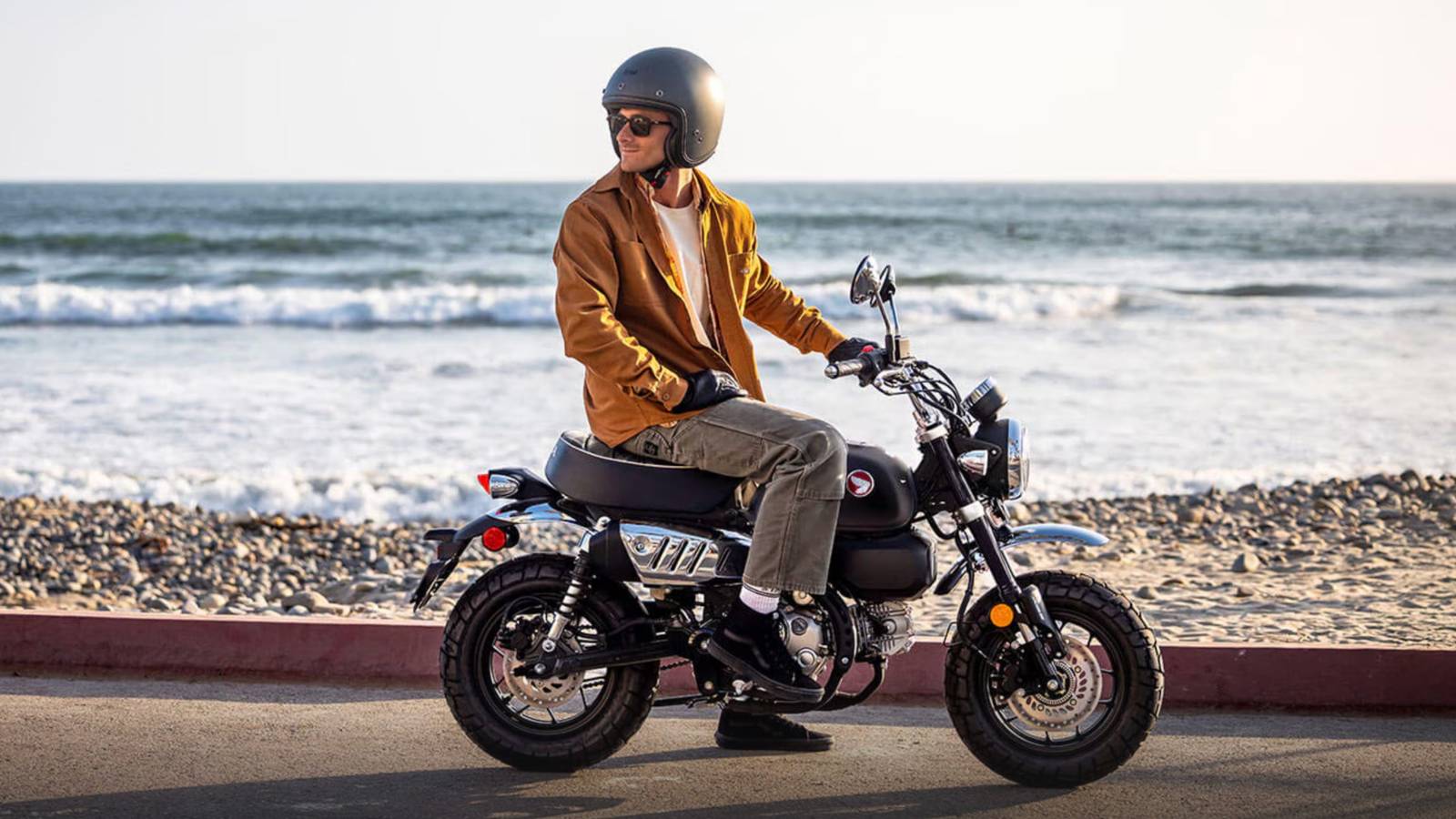 Honda Monkey Bike Buyer's Guide & What You Need To Know