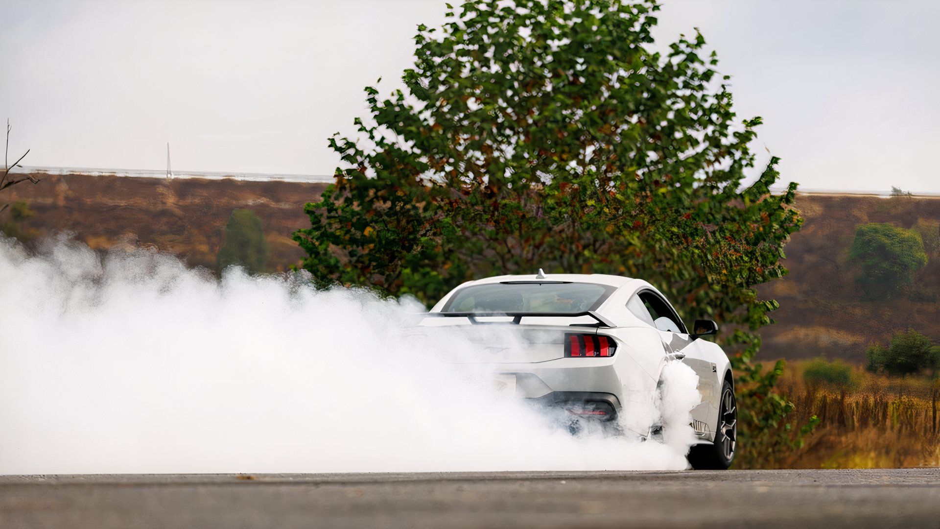 The 2026 Mustang RTR Proves You Don't Need A V8 To Have Fun