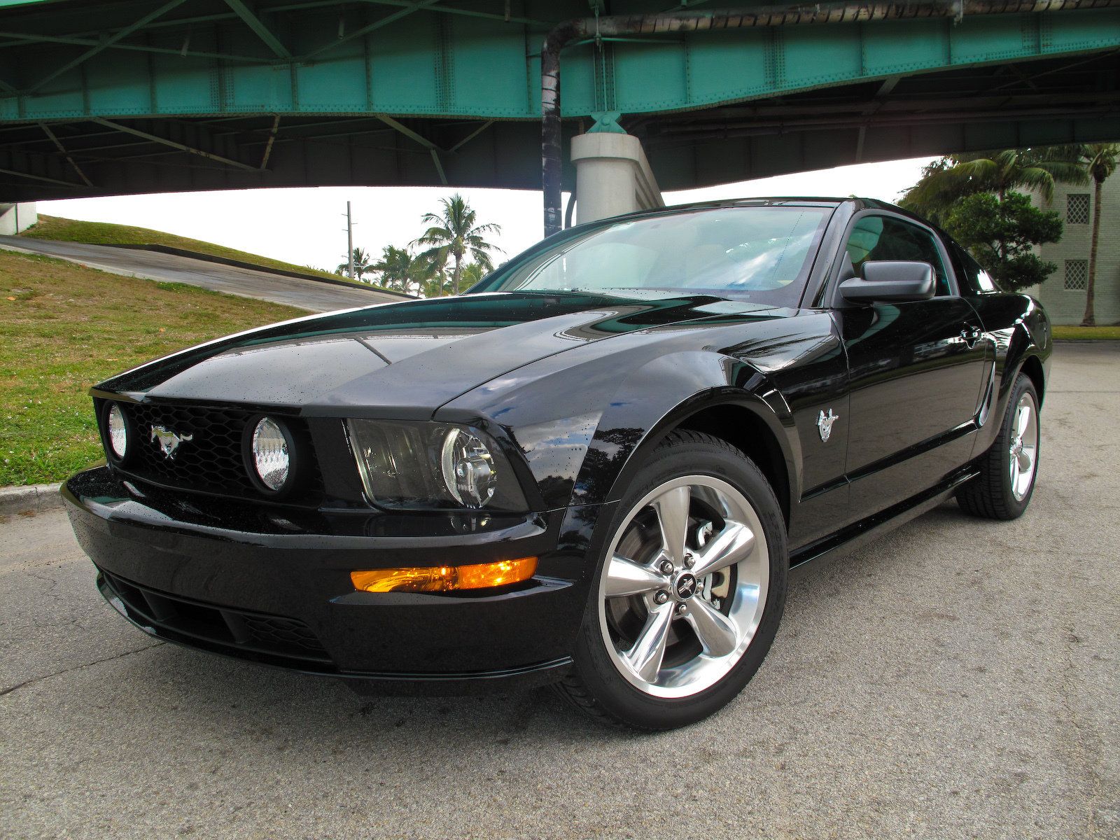 Ford Mustang v 2009